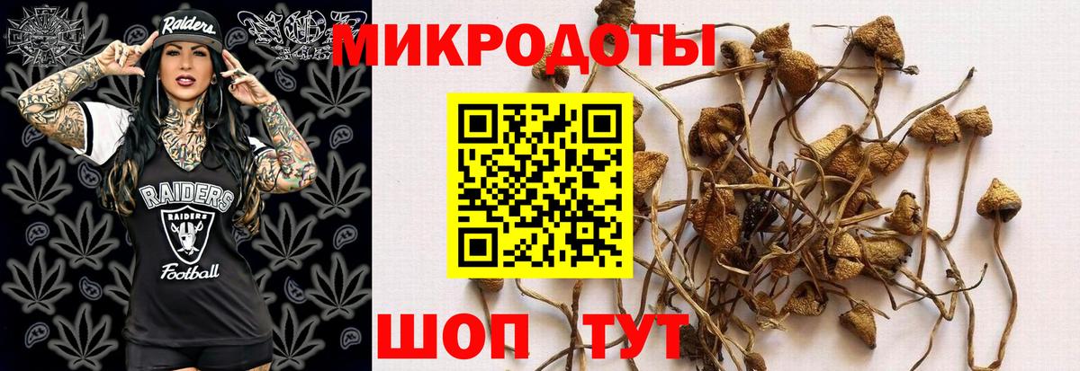 Псилоцибиновые грибы Cubensis Тулун